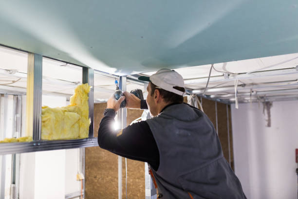 Best Spray Foam Insulation in Swainsboro, GA