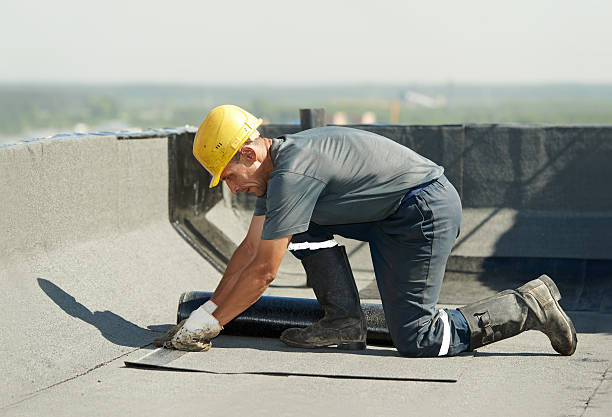 Best Specialized Insulation Services in Swainsboro, GA