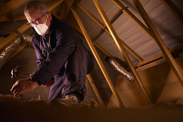 Best Residential Insulation in Swainsboro, GA